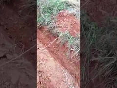 0.6 टन 0.8 टन मिनी क्रॉलर एक्सकेवेटर छोटा माइक्रो डिगर