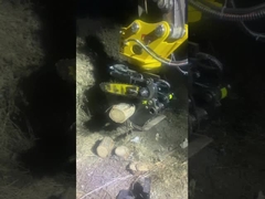 चूमना लकड़ी पकड़