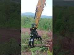 लकड़ी का अंगूर